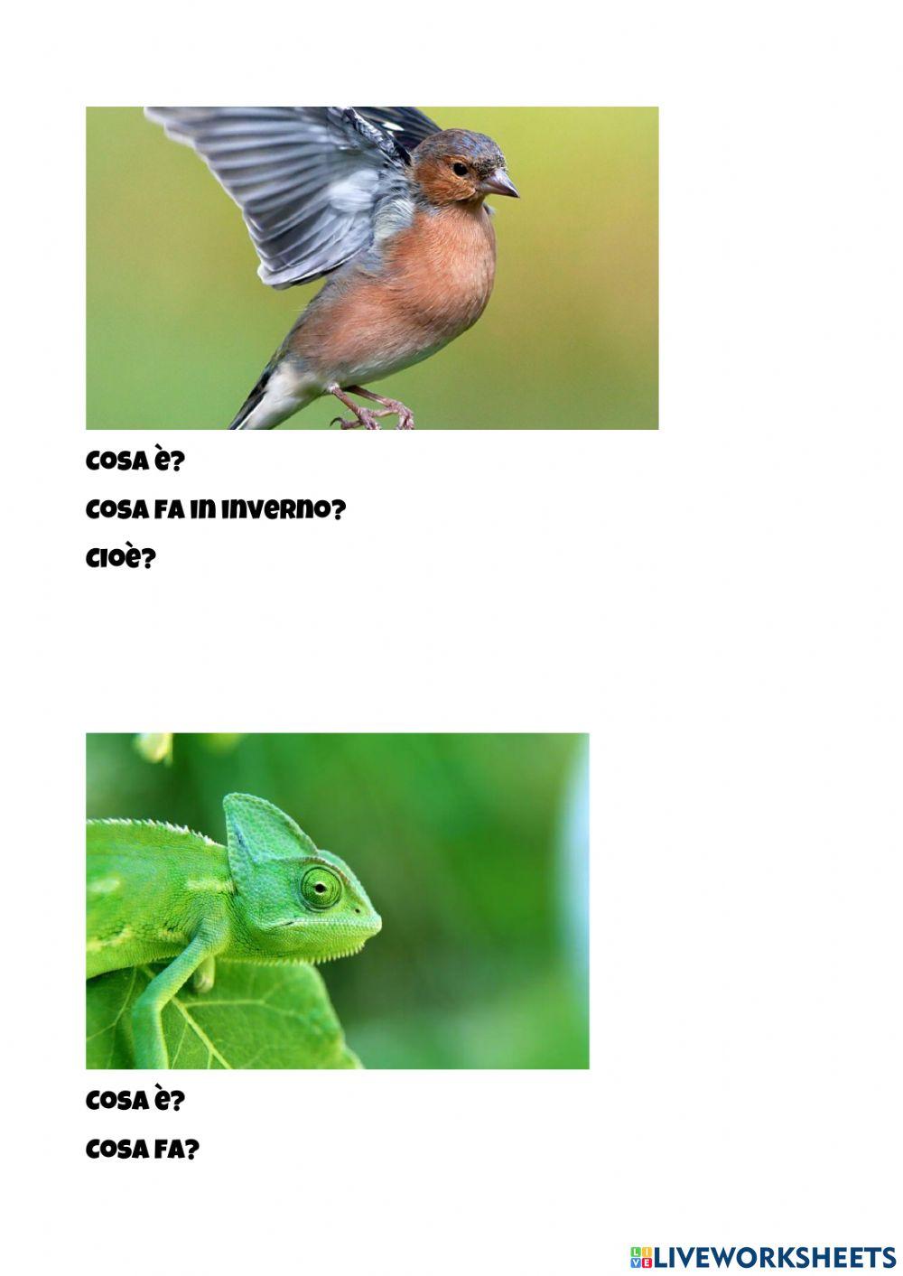 L'adattamento all'ambiente