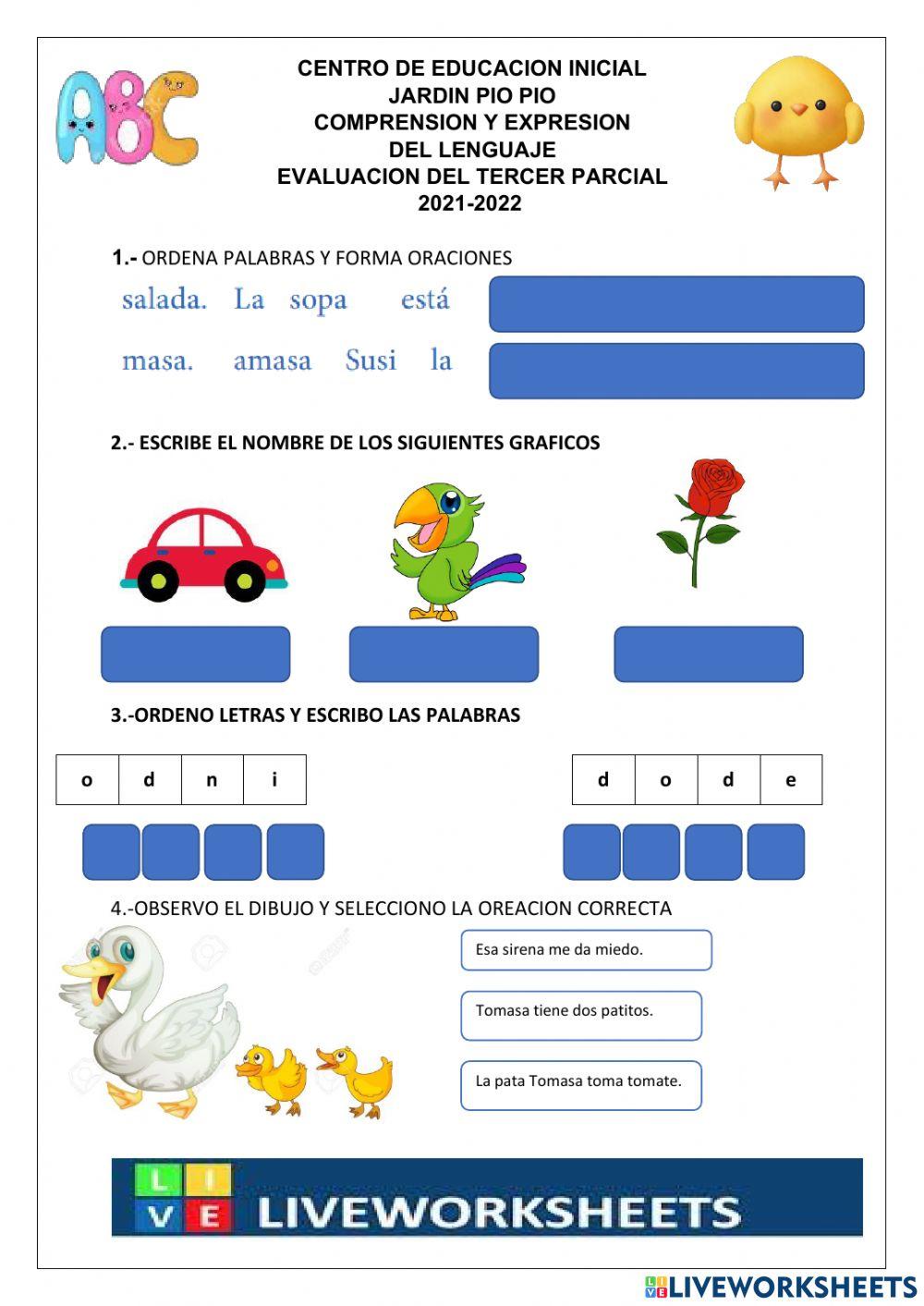 Evaluacion preparatorio