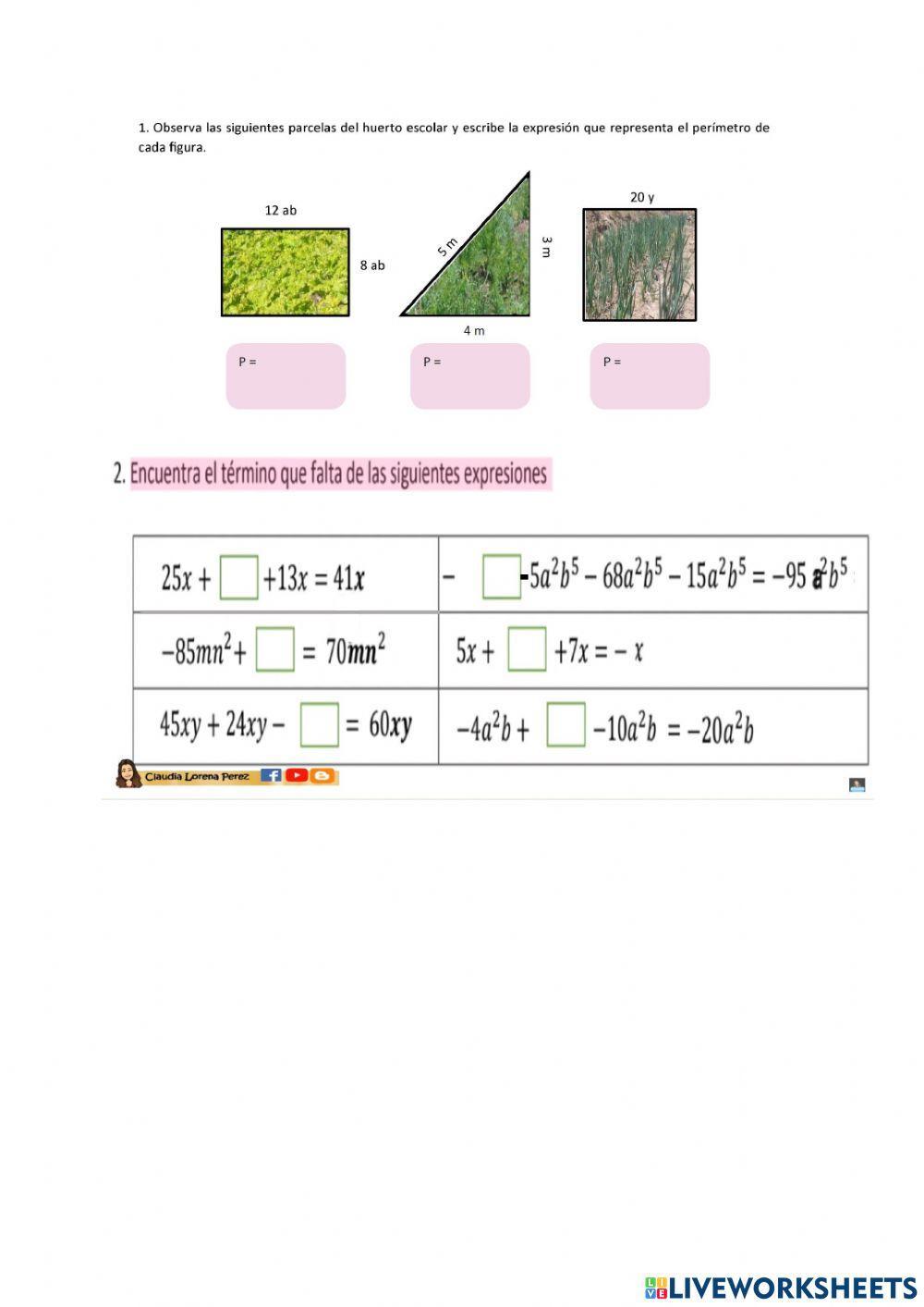 Algebra, valor numerico y terminos semejantes