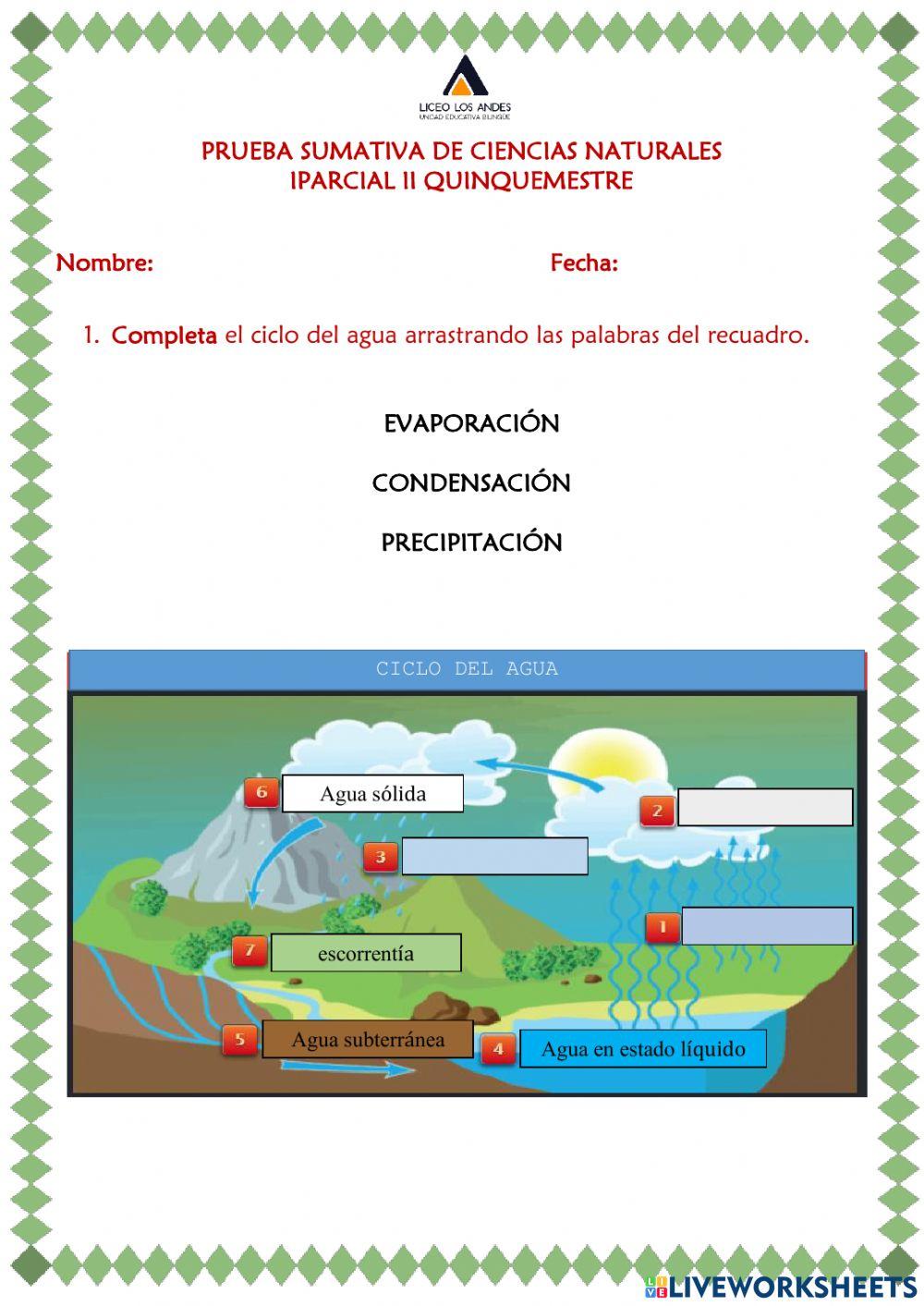 Prueba Sumativa de CCNN IP IIQ
