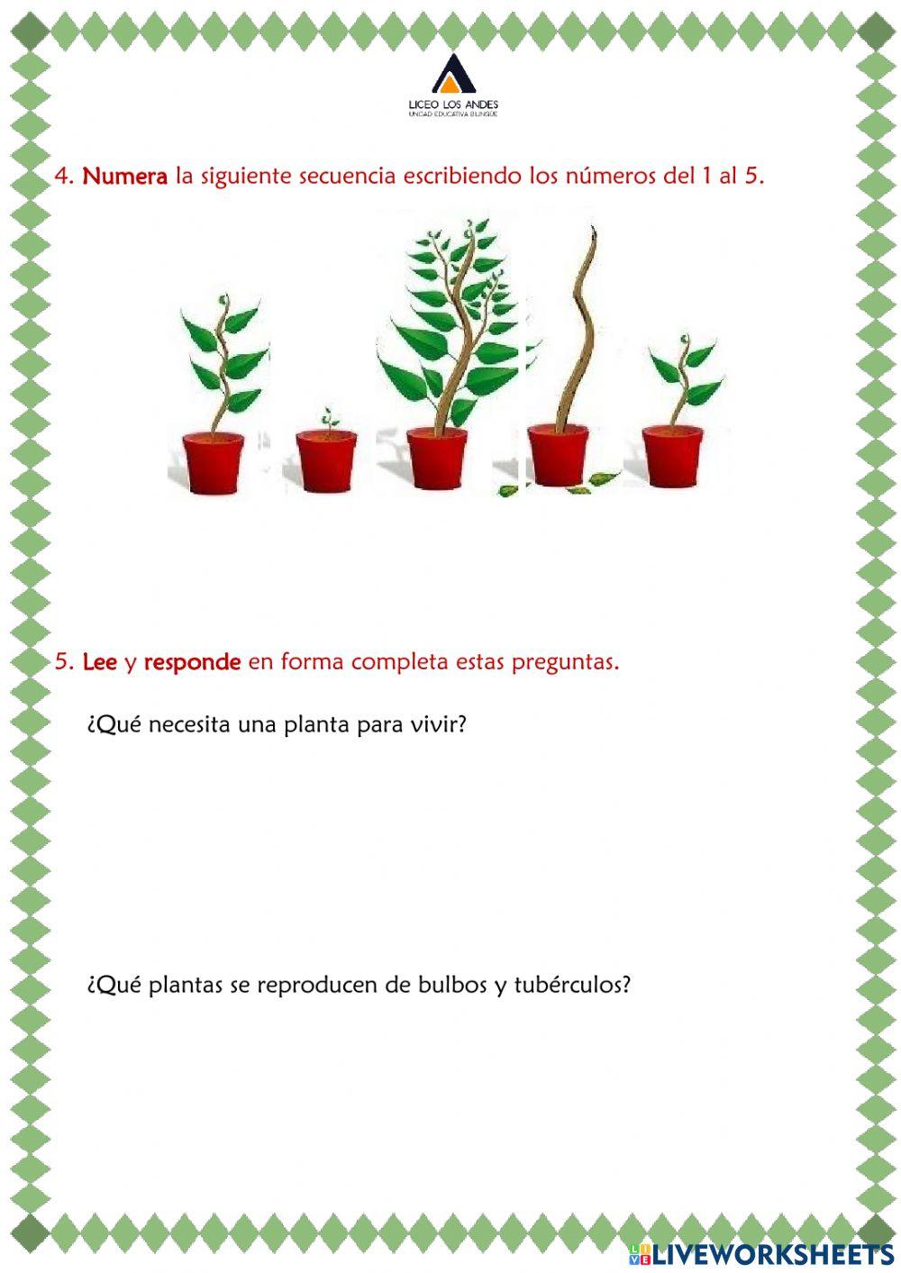 Prueba Sumativa de CCNN IP IIQ