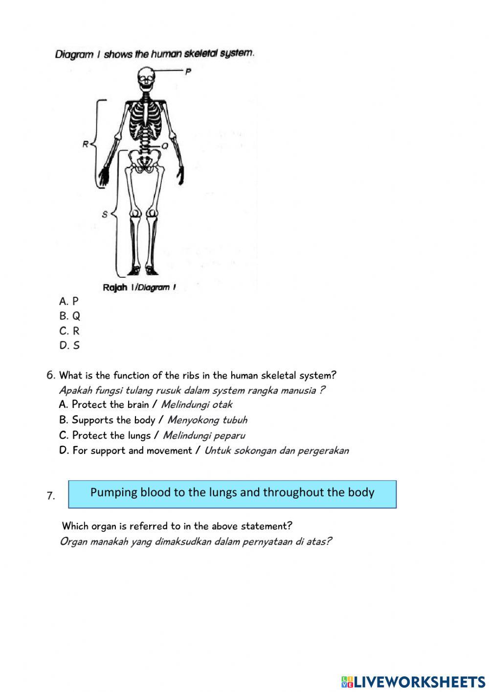 KUIZ SAINS AKHIR TAHUN - TAHUN 5 DLP part 1