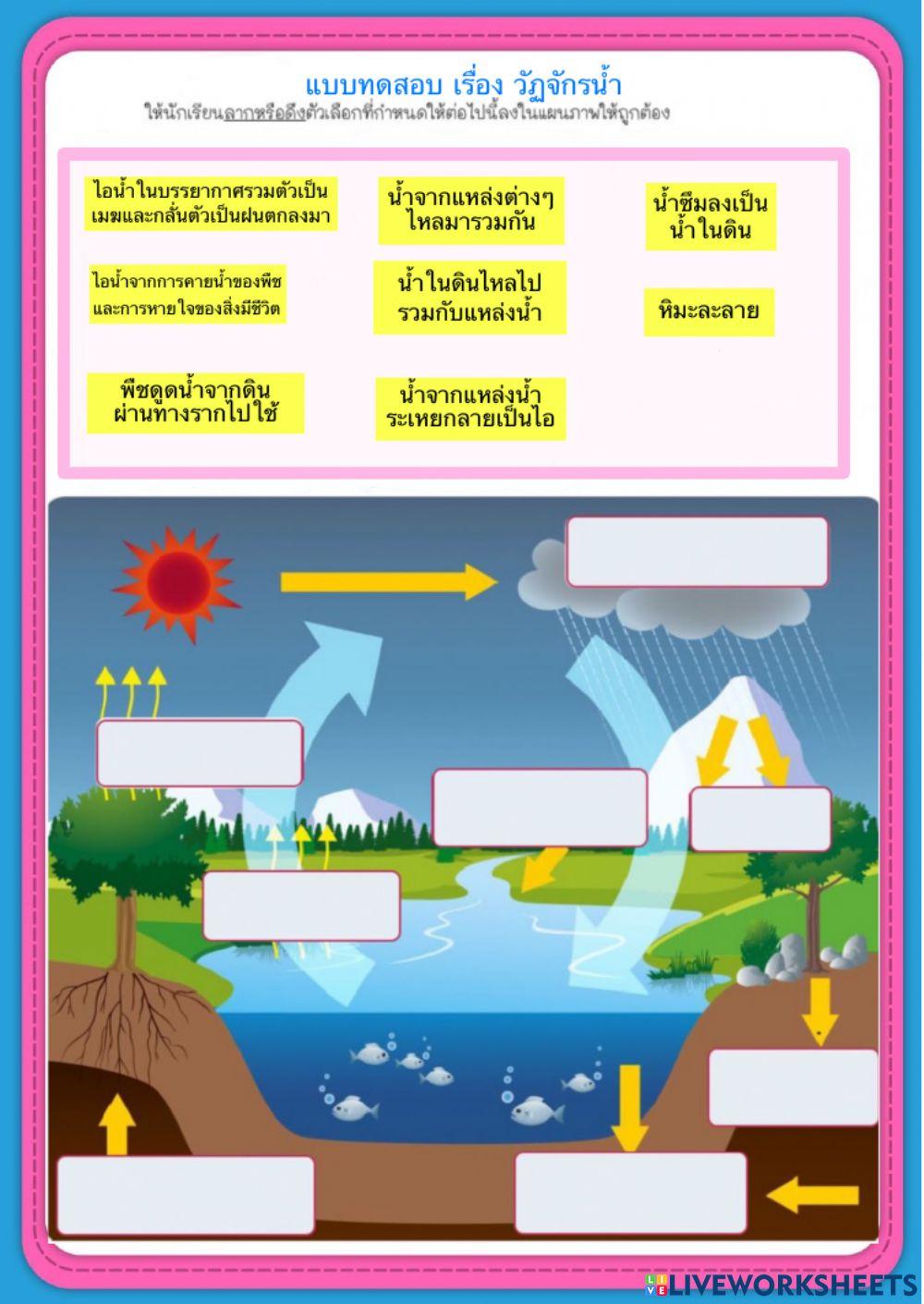 ข้อสอบ เรื่อง วัฏจักรของน้ำ