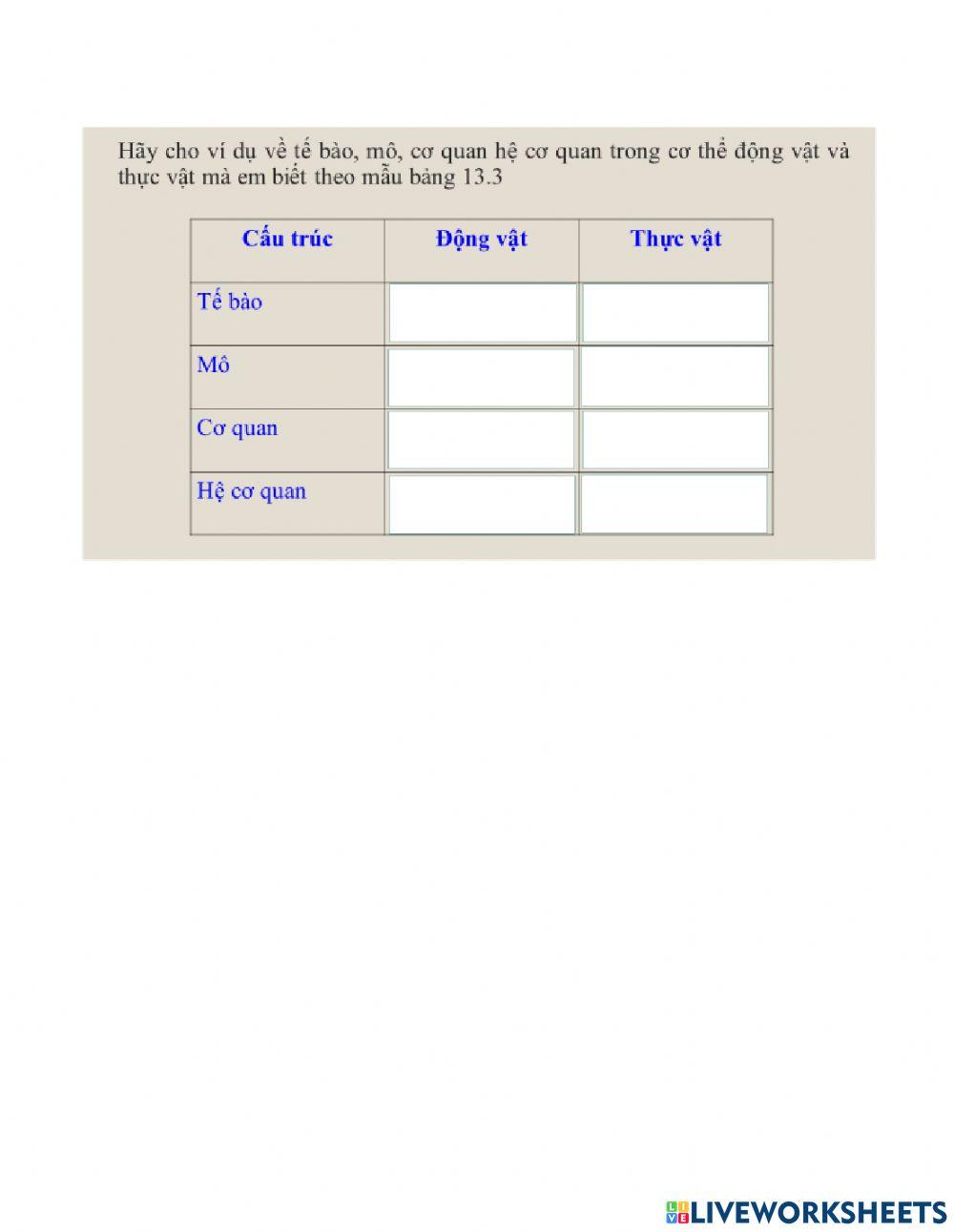 Điền câu trả lời