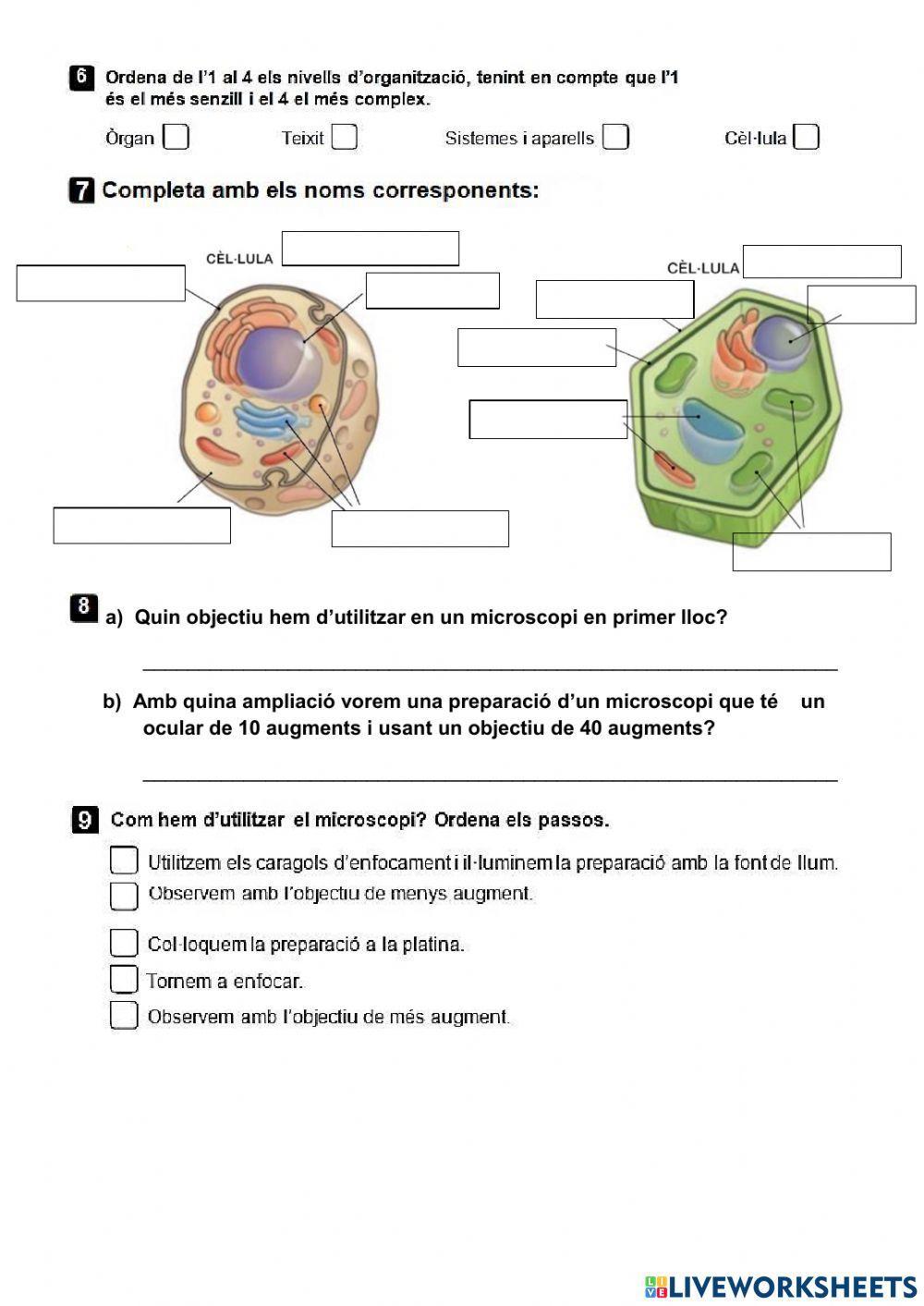 Control Naturals Tema 4