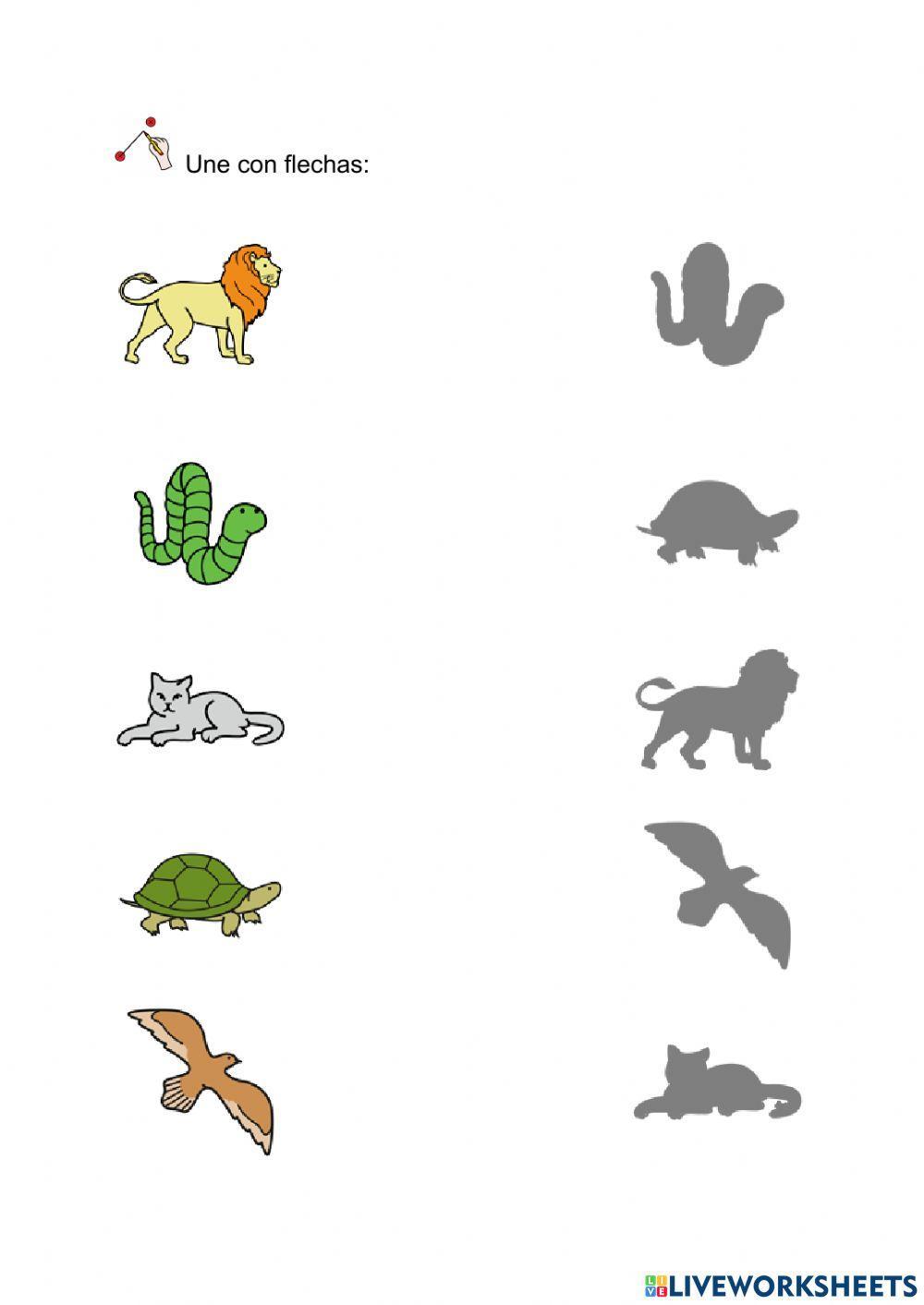 Une con flechas animales