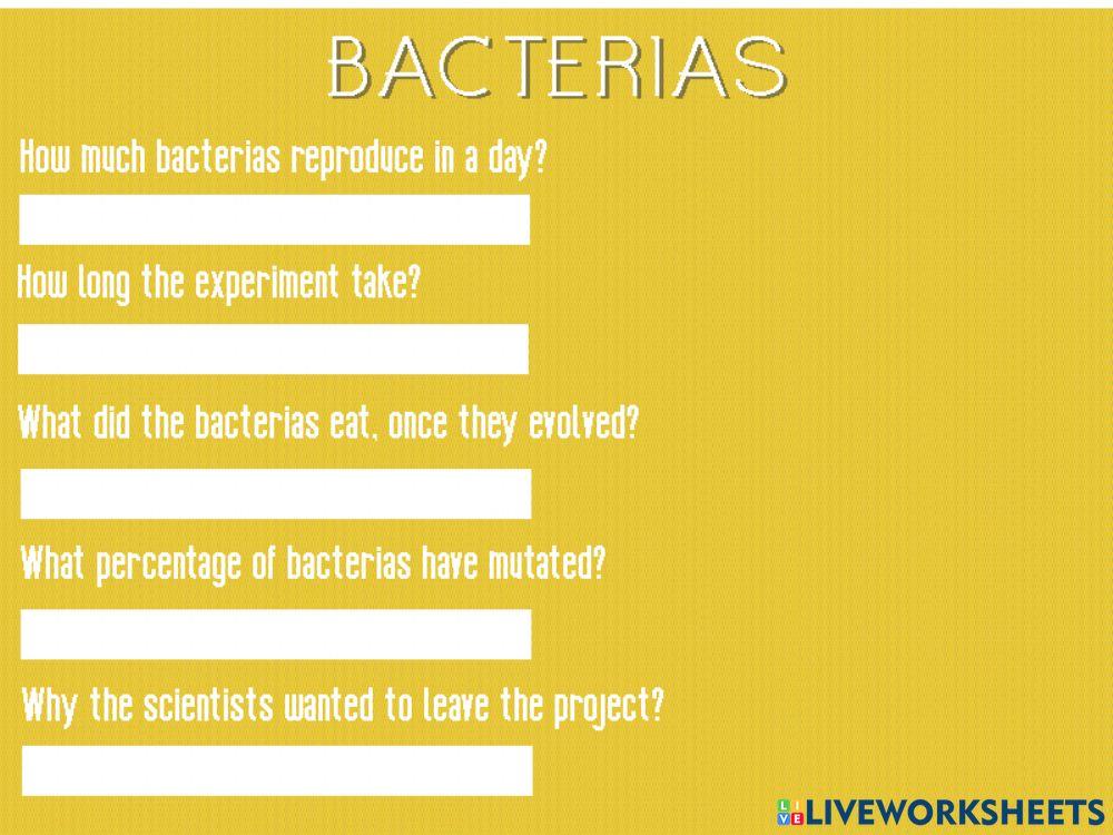 The evolution of bacterias