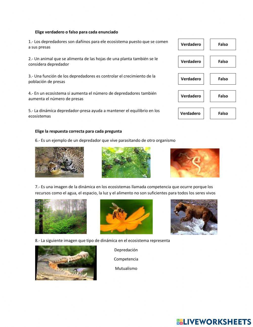 3er ejercicio de ciencias