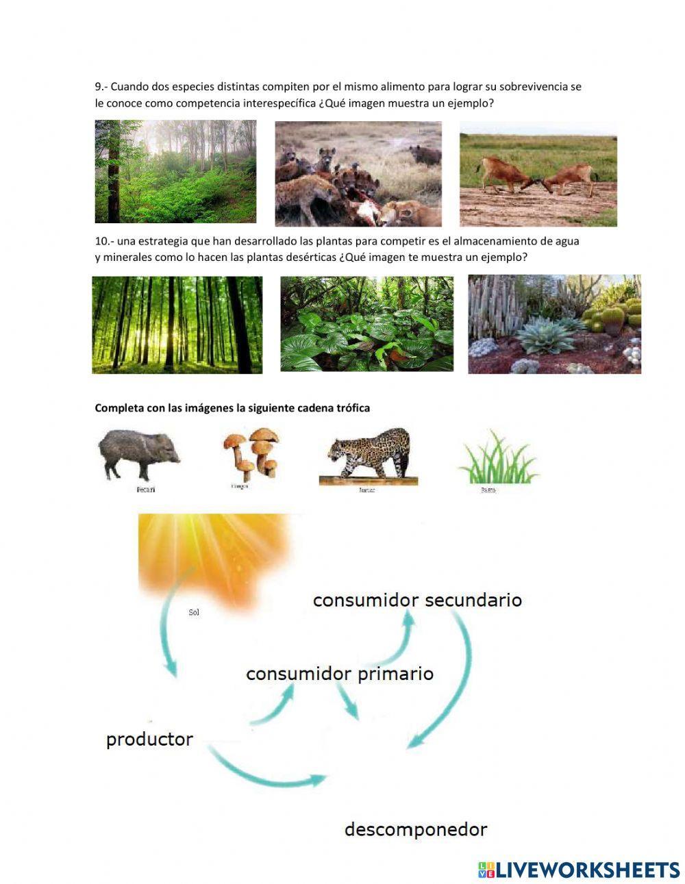 3er ejercicio de ciencias