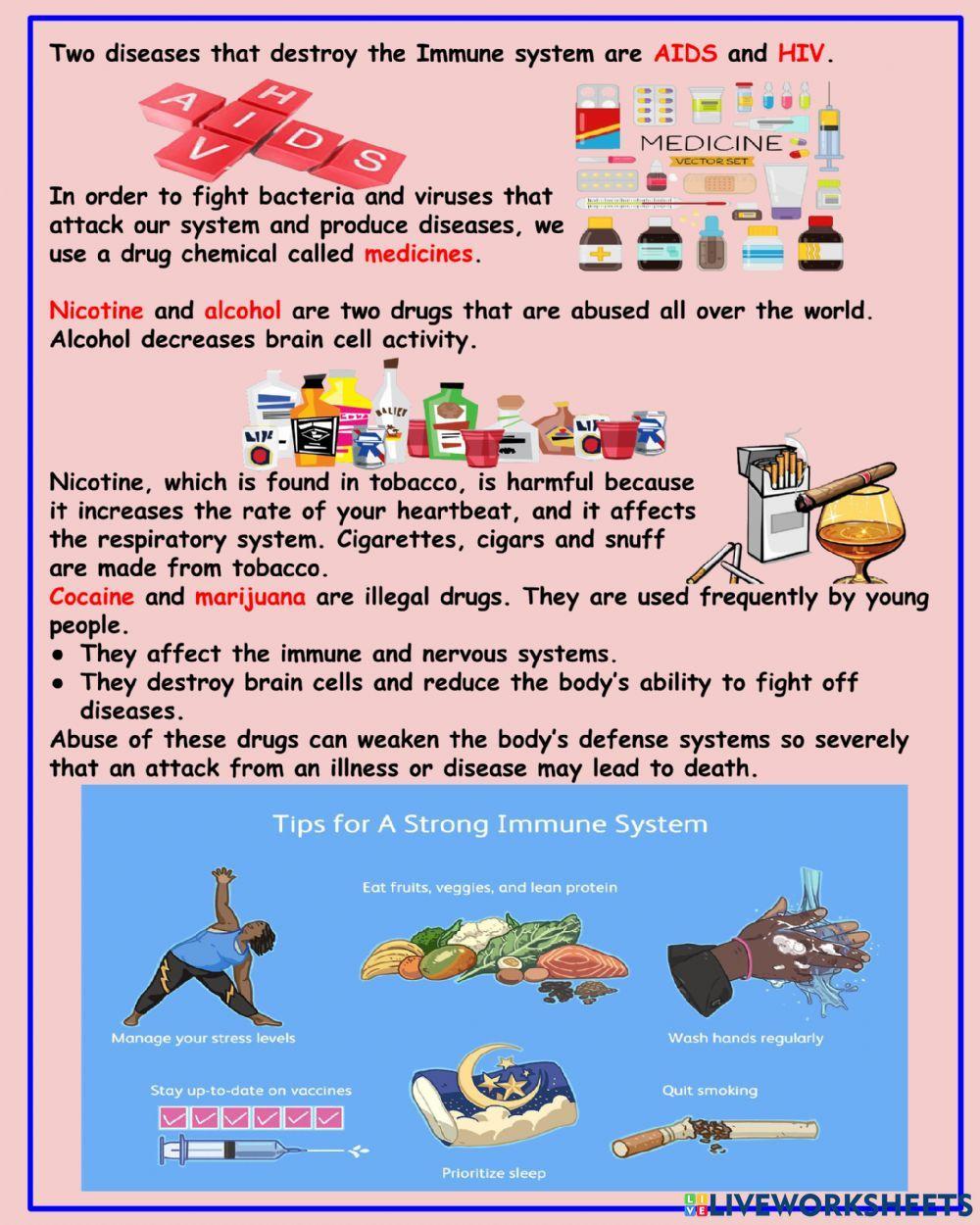 The Immune System Notes