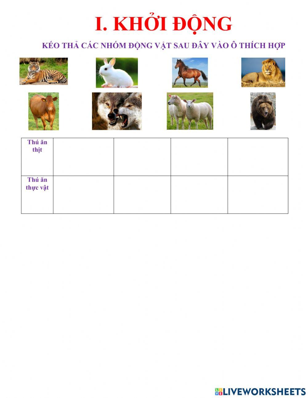 Bai 16 tieu hoa phan khoi dong