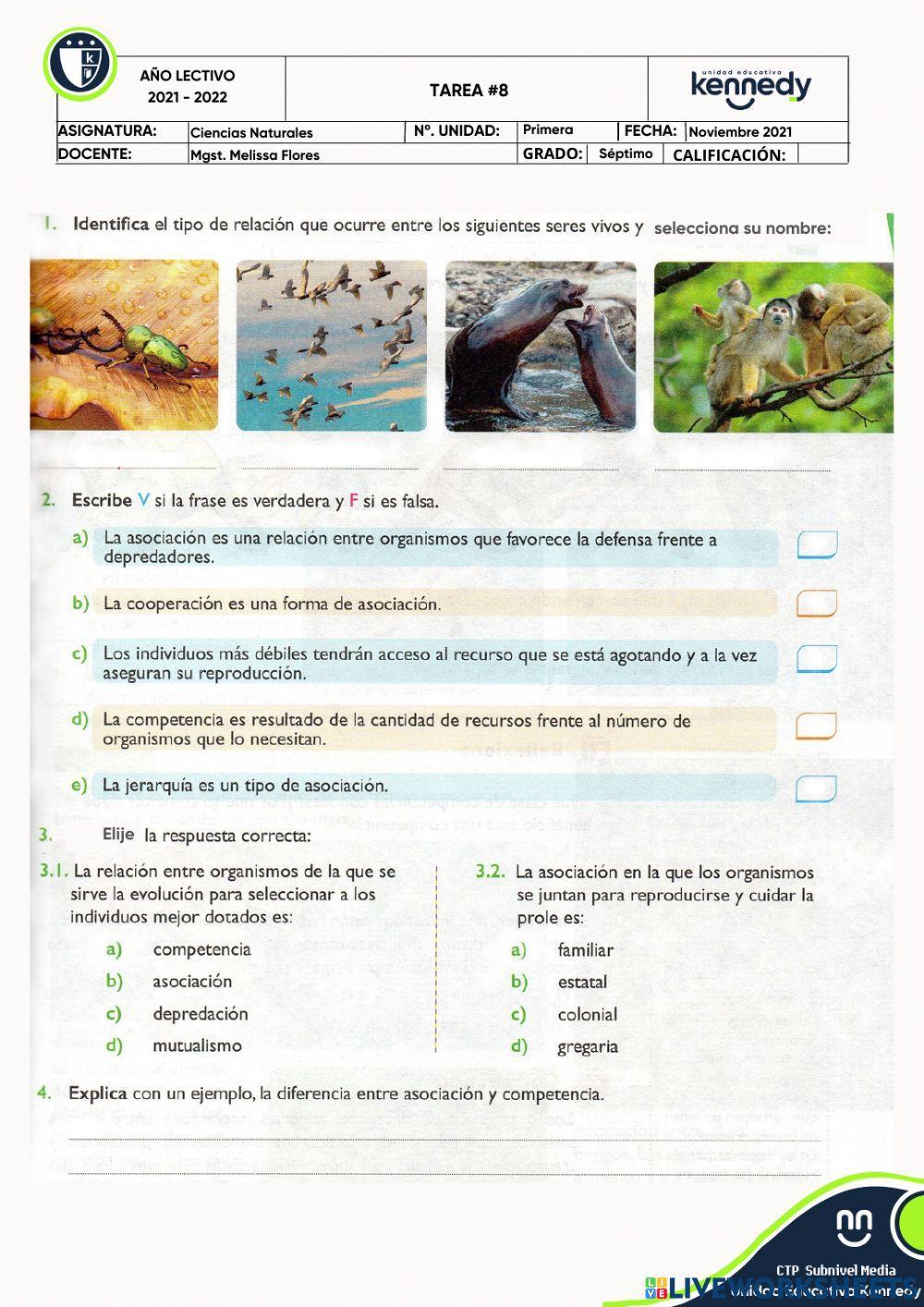Relaciones intraespecíficas