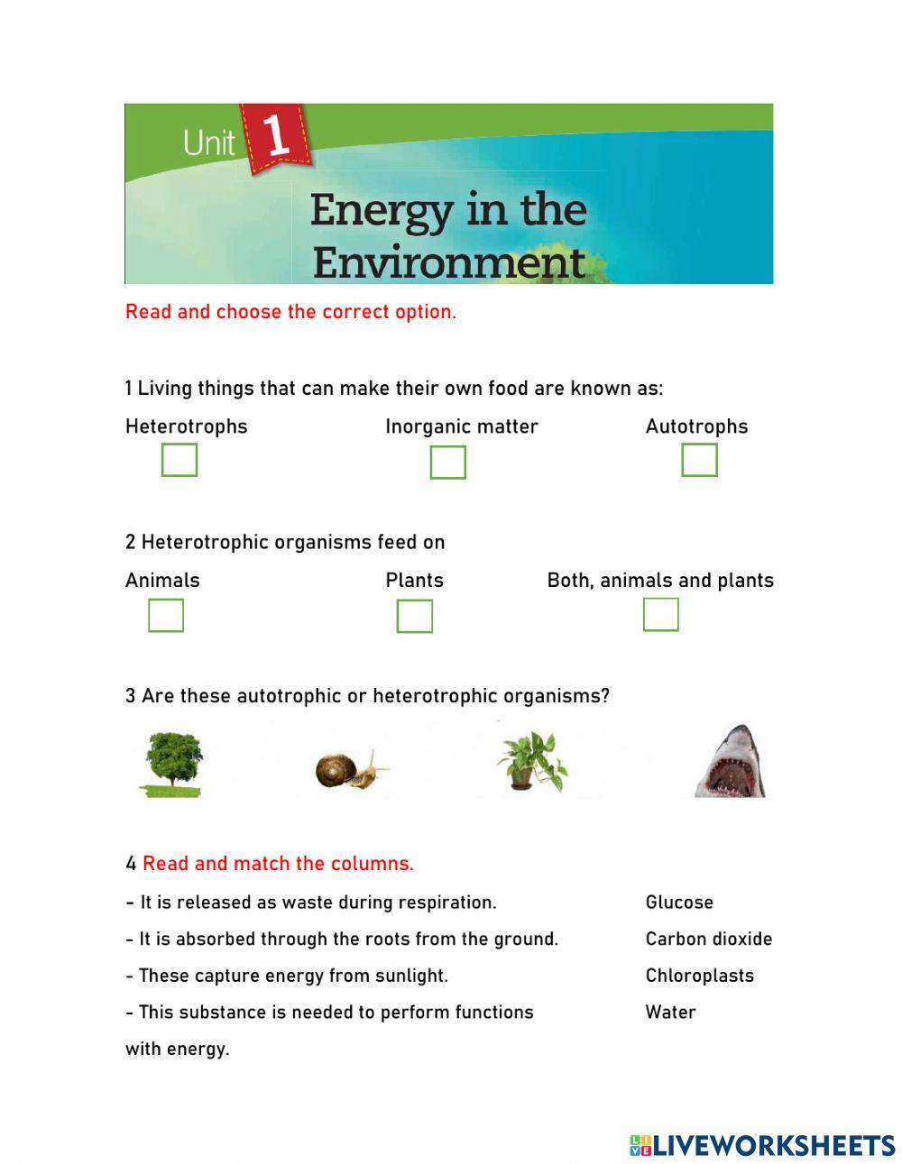 Energy in the environment