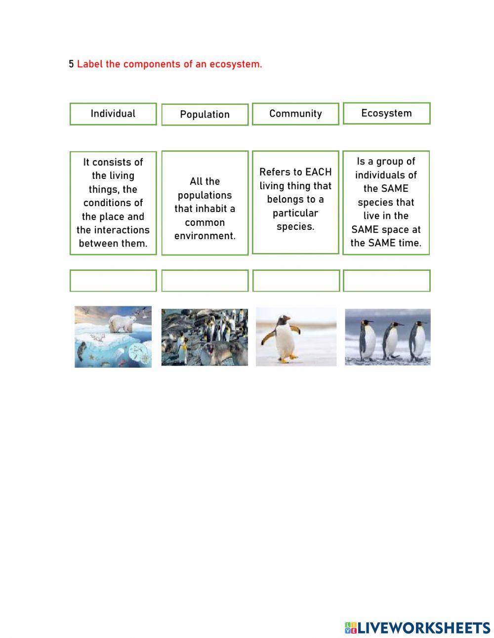 Energy in the environment