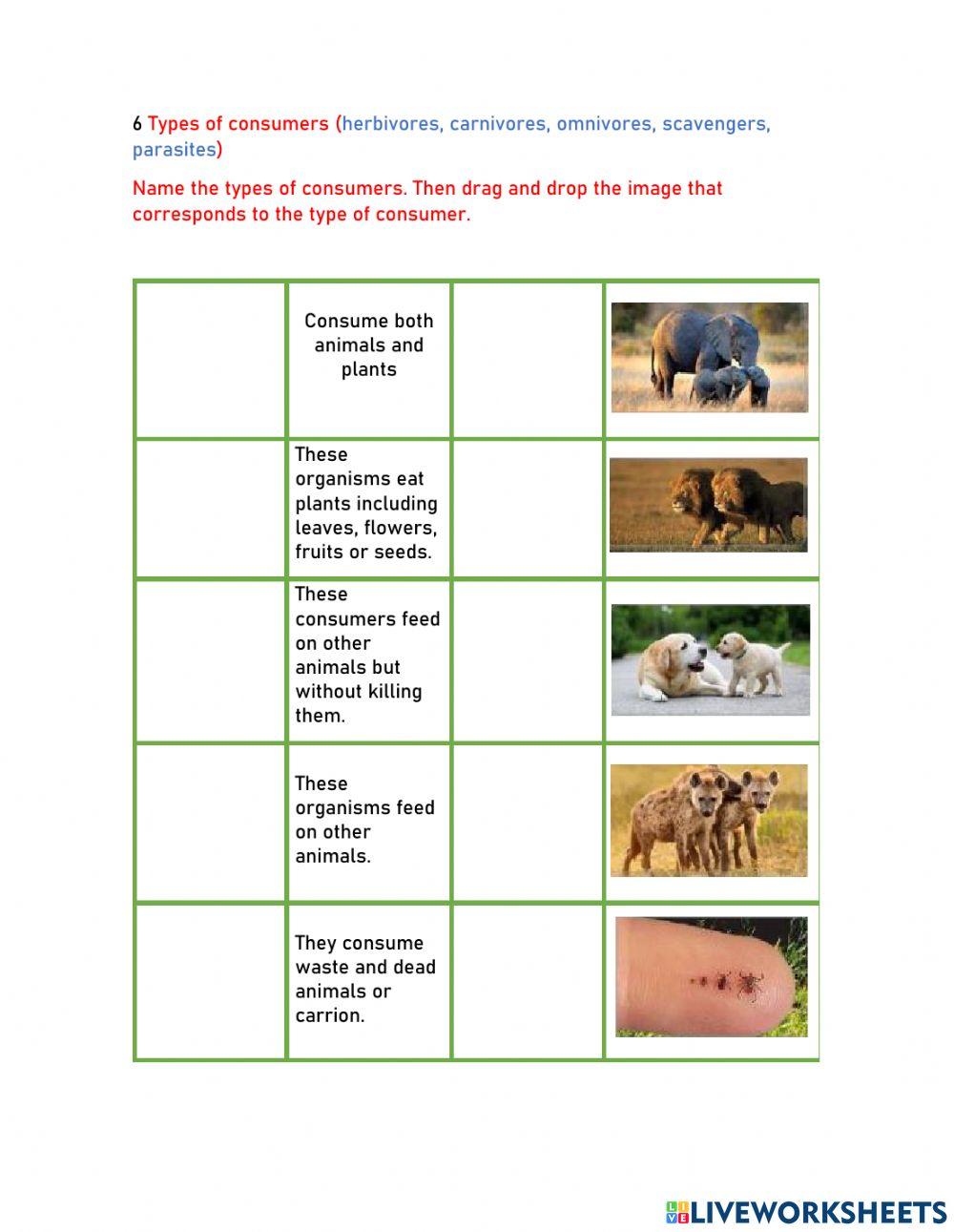 Energy in the environment