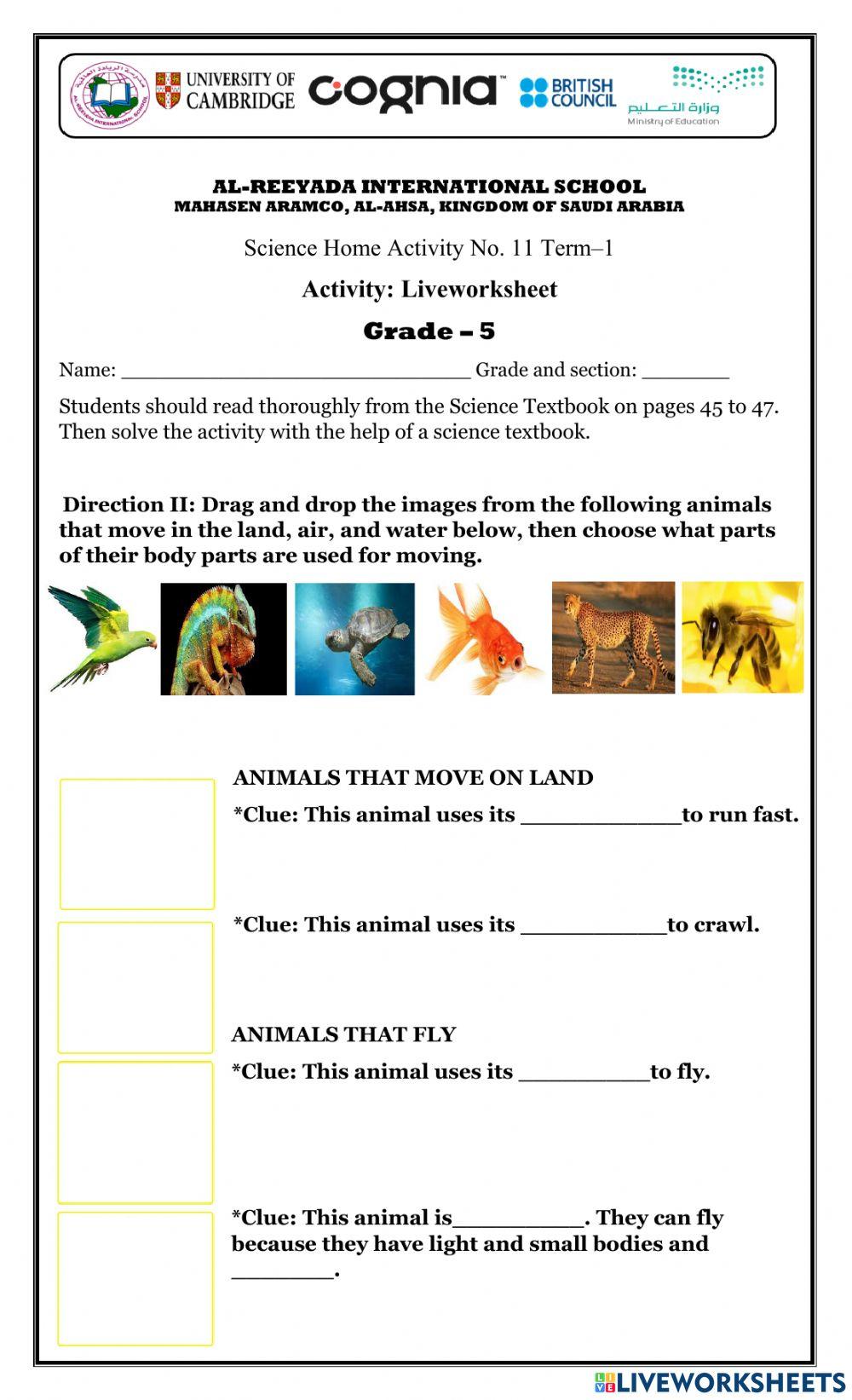 Animal method of moving