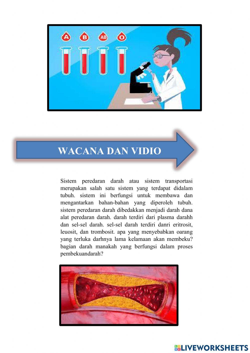 Darah, pembekuan darah dan transfusi darah