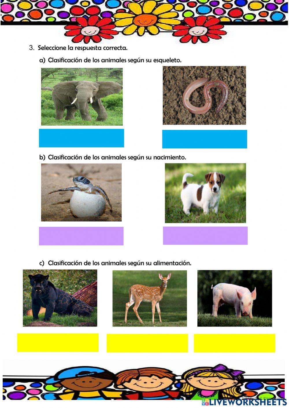 Prueba de Unidad 1 Naturales