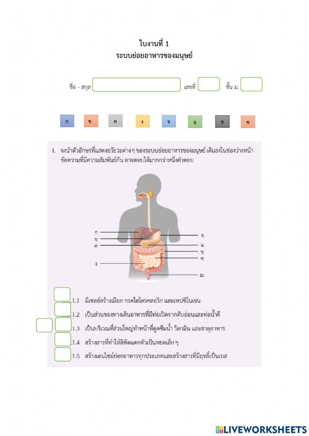 ใบงานที่ 1