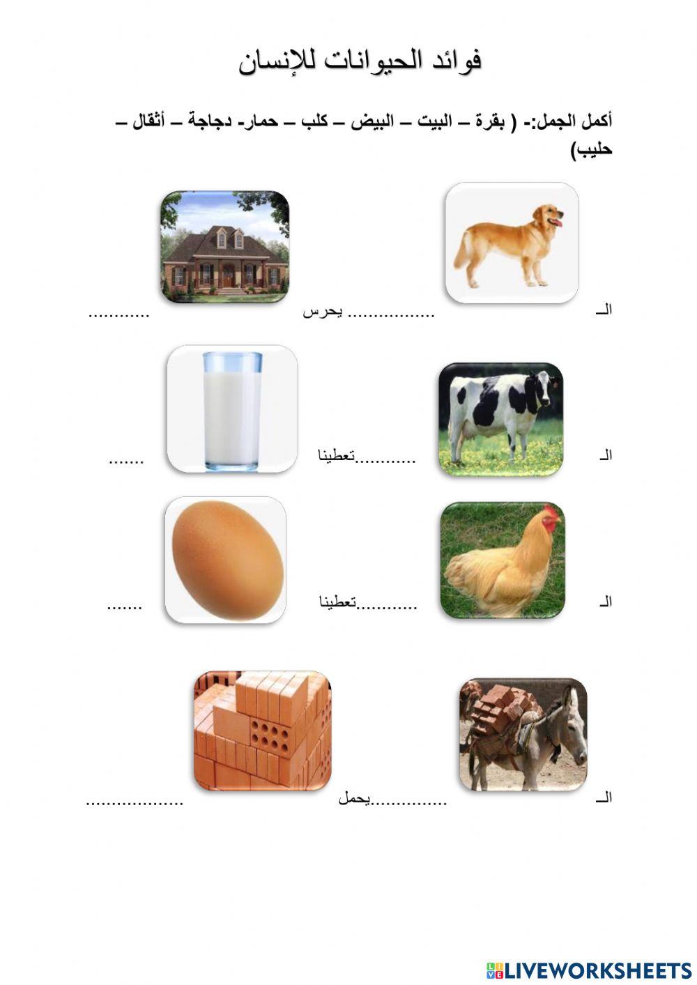 فوائد الحيوانات