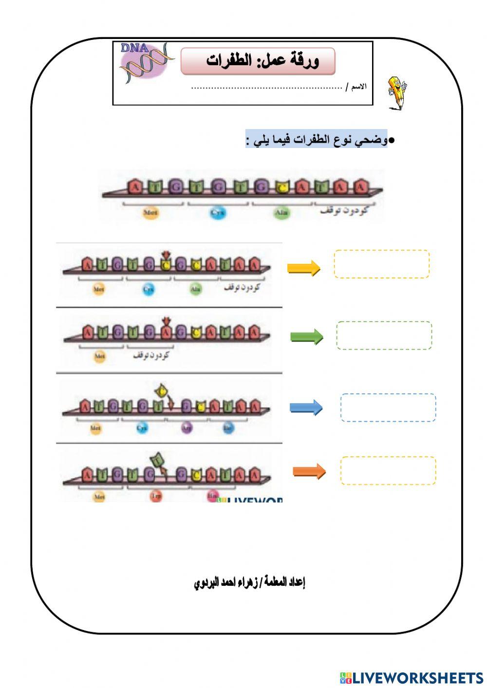 الطفرات الوراثية