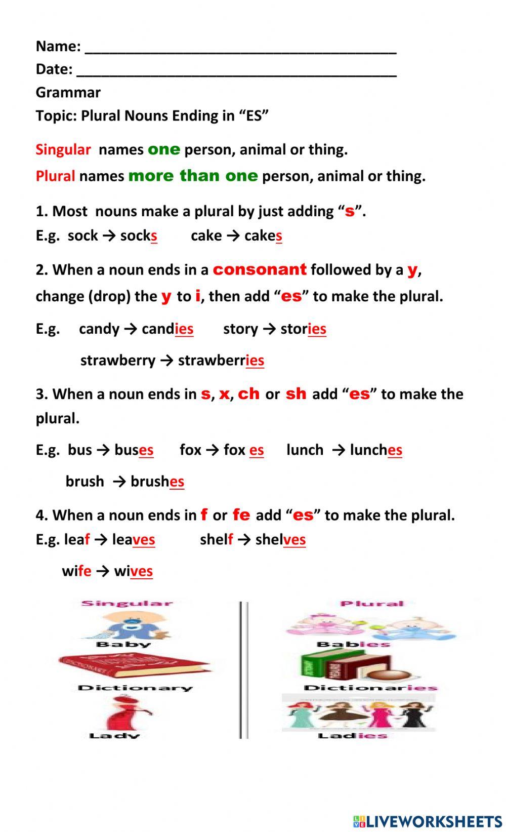 Plurals- Adding -S- and -ES- Rules