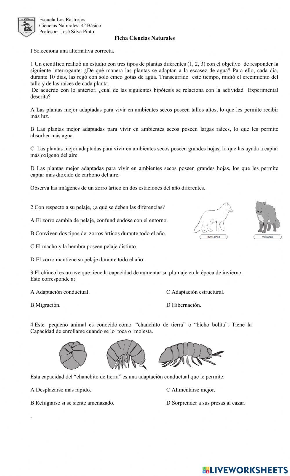 Ficha Necesidades Adaptativas de los seres vivos.