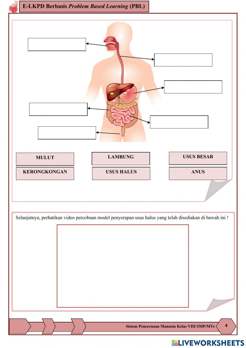 E-LKPD Berbasis PBL Sub Materi 2