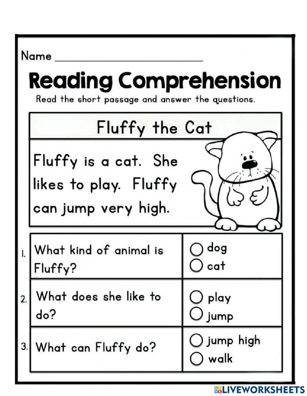 Fluffy the Cat Reading Comprehension