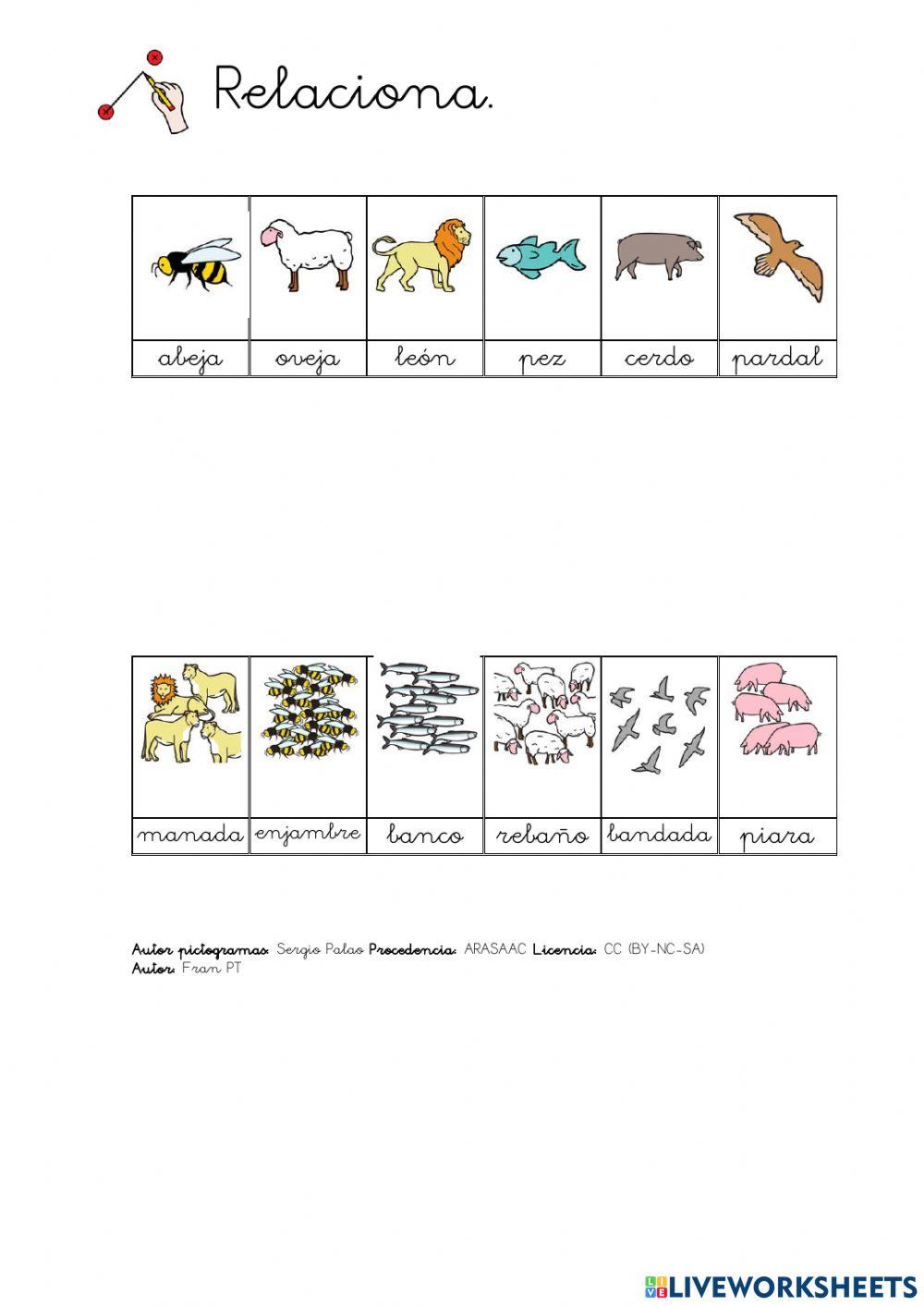 Relacionar sustantivos individuales y colectivos. (con pictogramas)