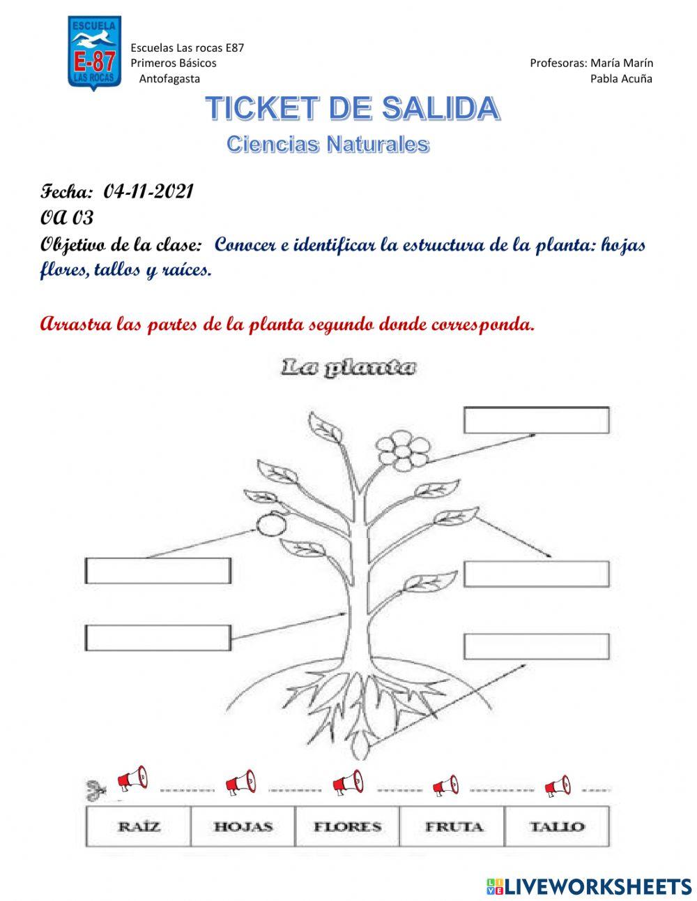 Ticket de salida Ciencias Naturales