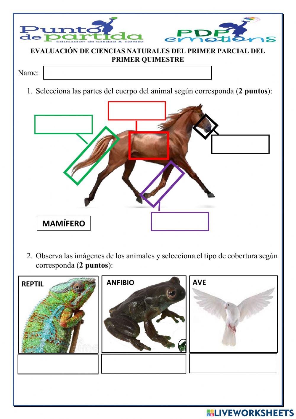 Evaluación del Primer Parcial  del Primer Quimestre de Ciencias Naturales