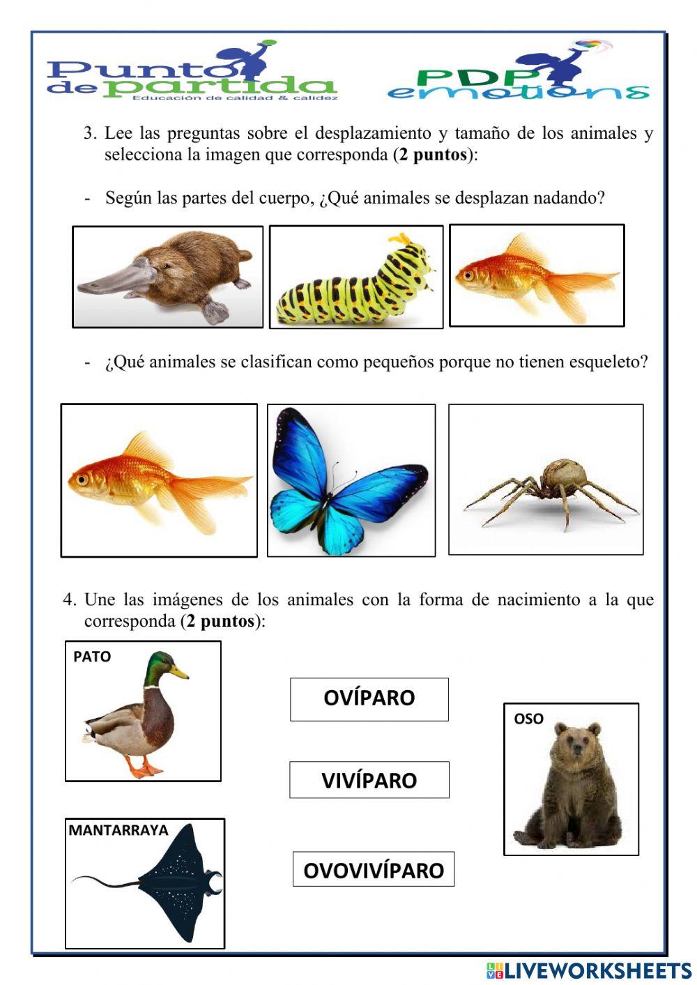 Evaluación del Primer Parcial  del Primer Quimestre de Ciencias Naturales