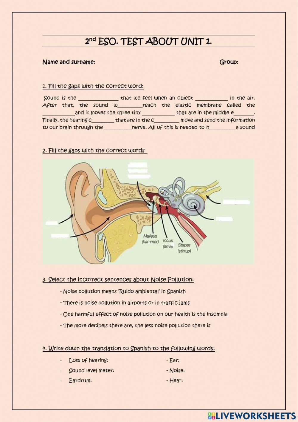 2nd ESO. Test about Unit 1