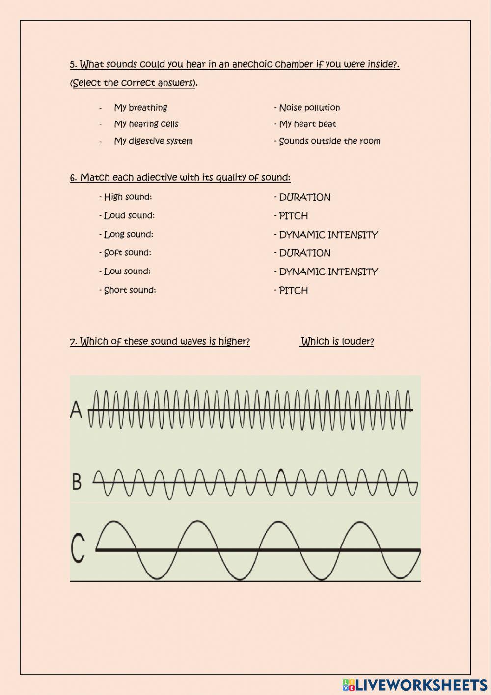 2nd ESO. Test about Unit 1
