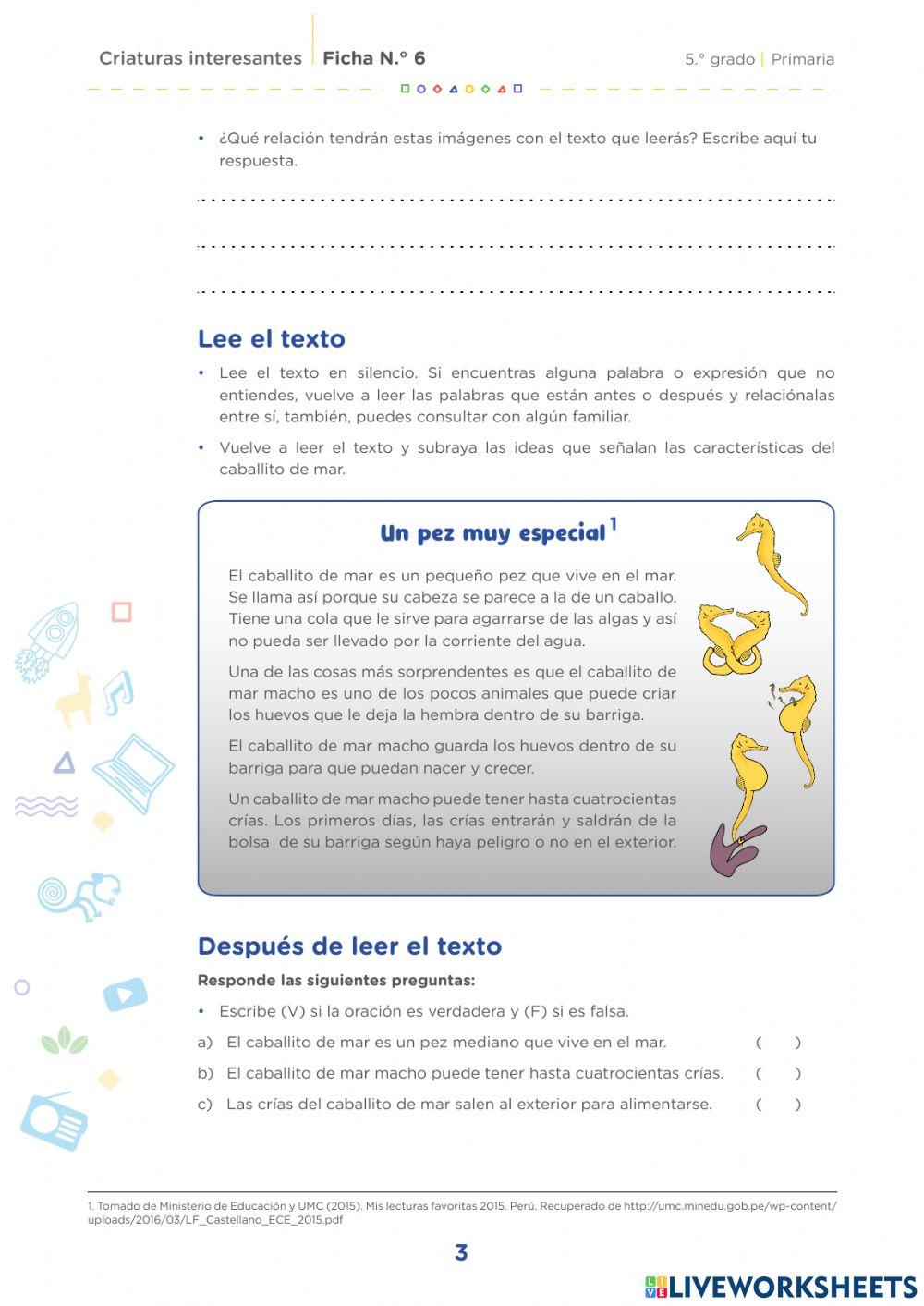 Ficha de comunicación 6