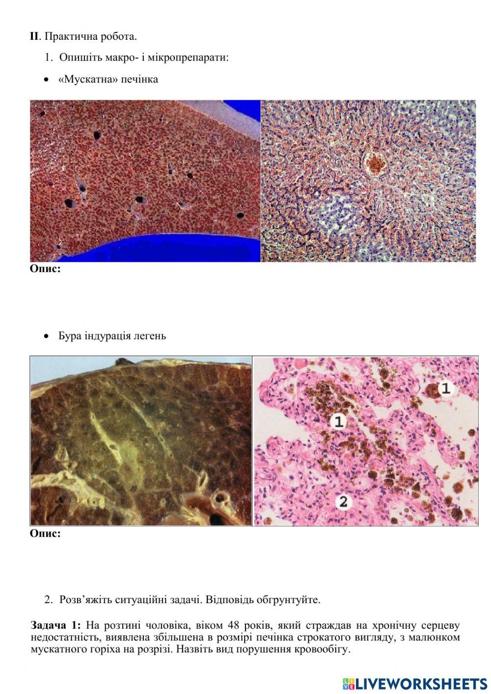 Практичне заняття 3