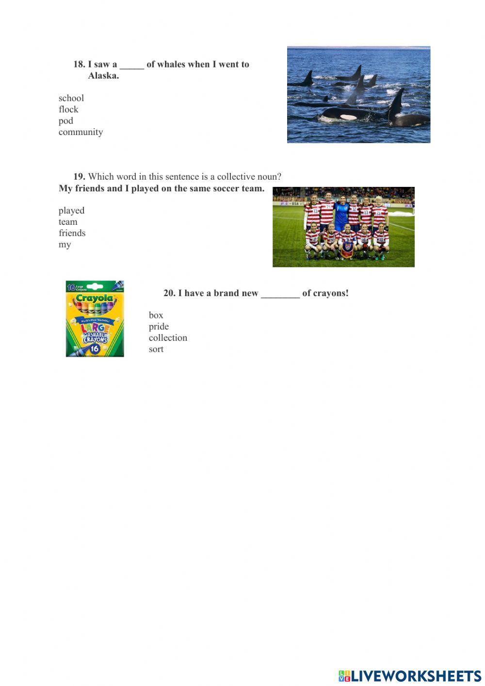 Std 2 Grammar test November 2021