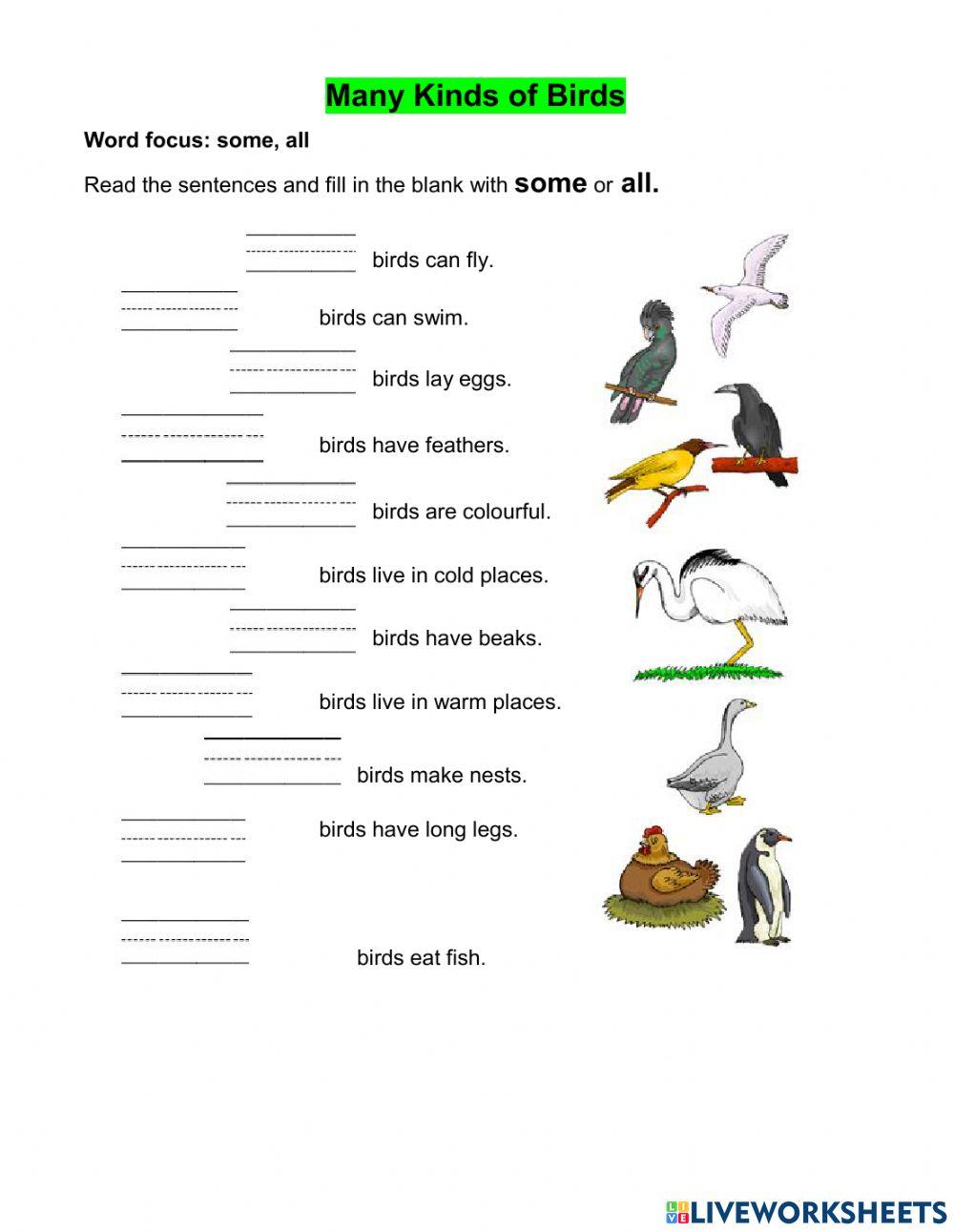 Kinds of Birds