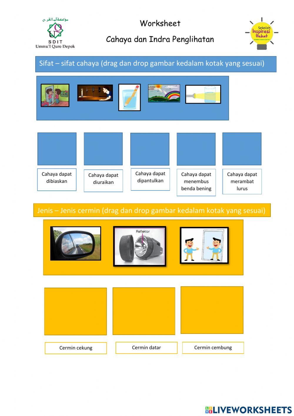 Cahaya & Indra Penglihatan