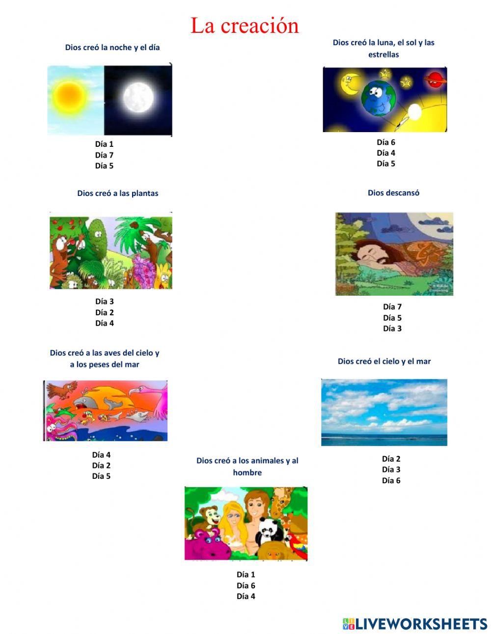La creación La creación