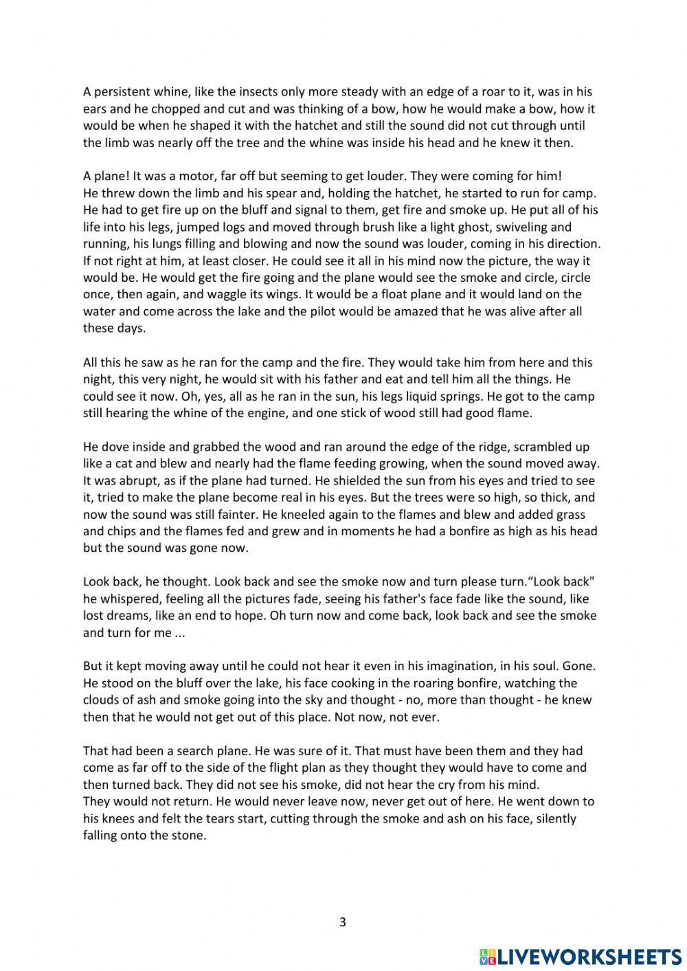 Hatchet chapter 12 Questions