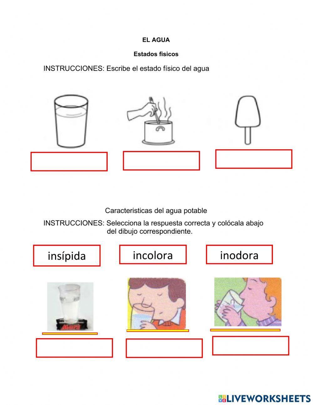 Estados y características del agua