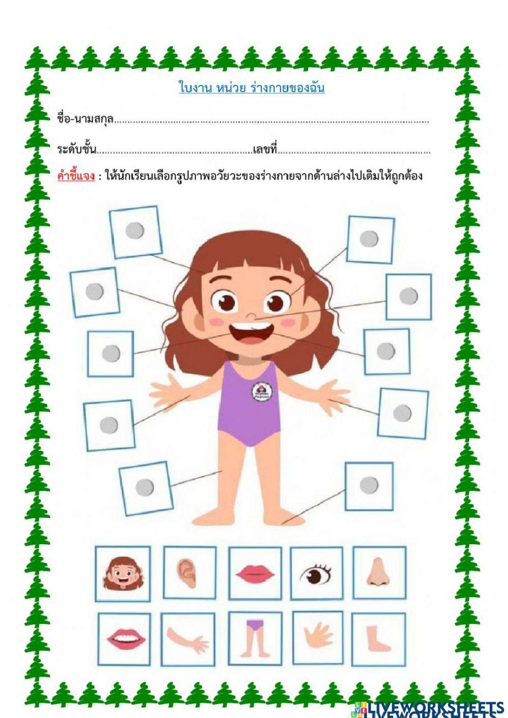 ใบงานเติมคำ