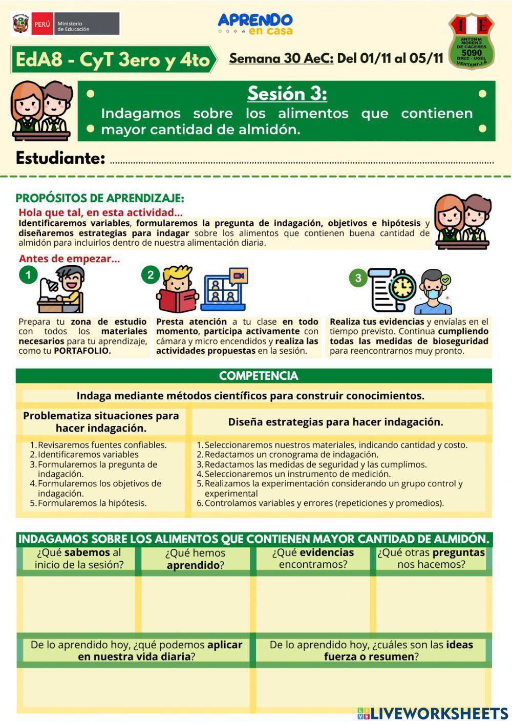 EdA8 - CyT3y4 - S3 - INDAGA
