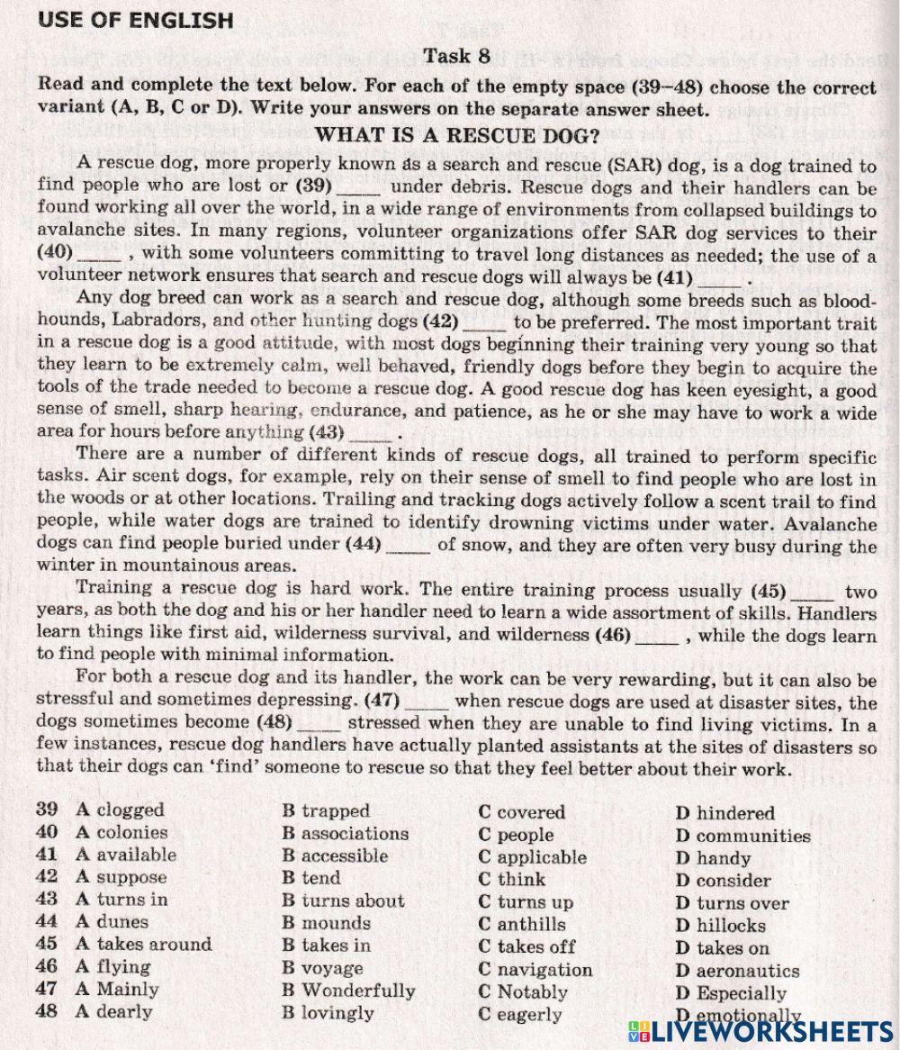 ZNO Use of English 20