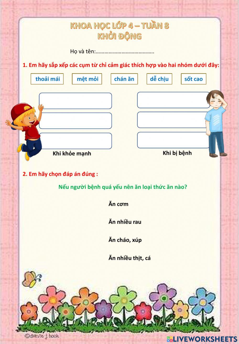 Khởi động tuần 8