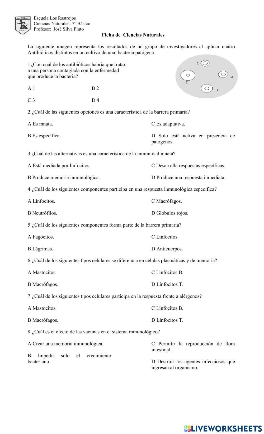 Efectos de las vacunas y sistema inmune.