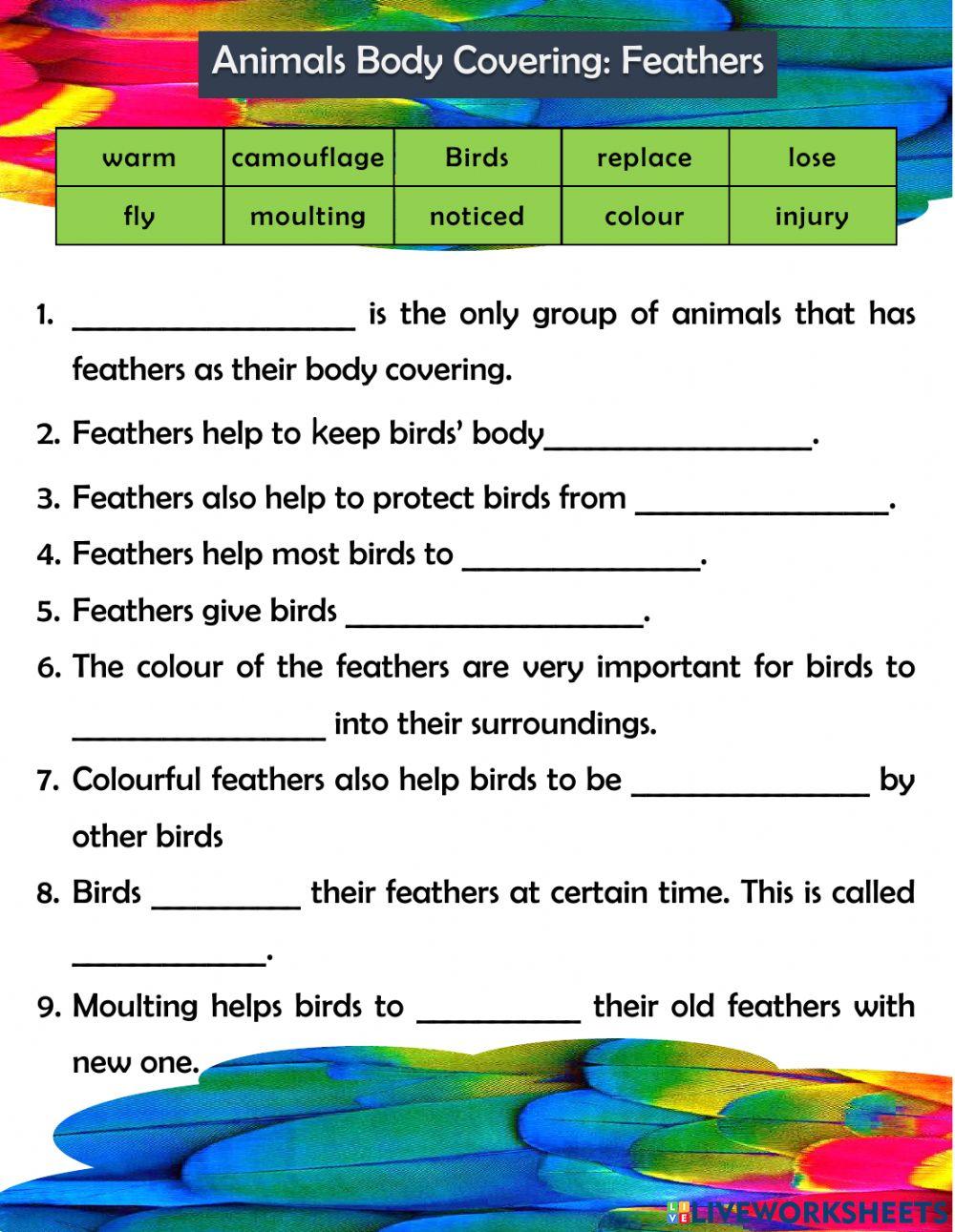 Animals body covering