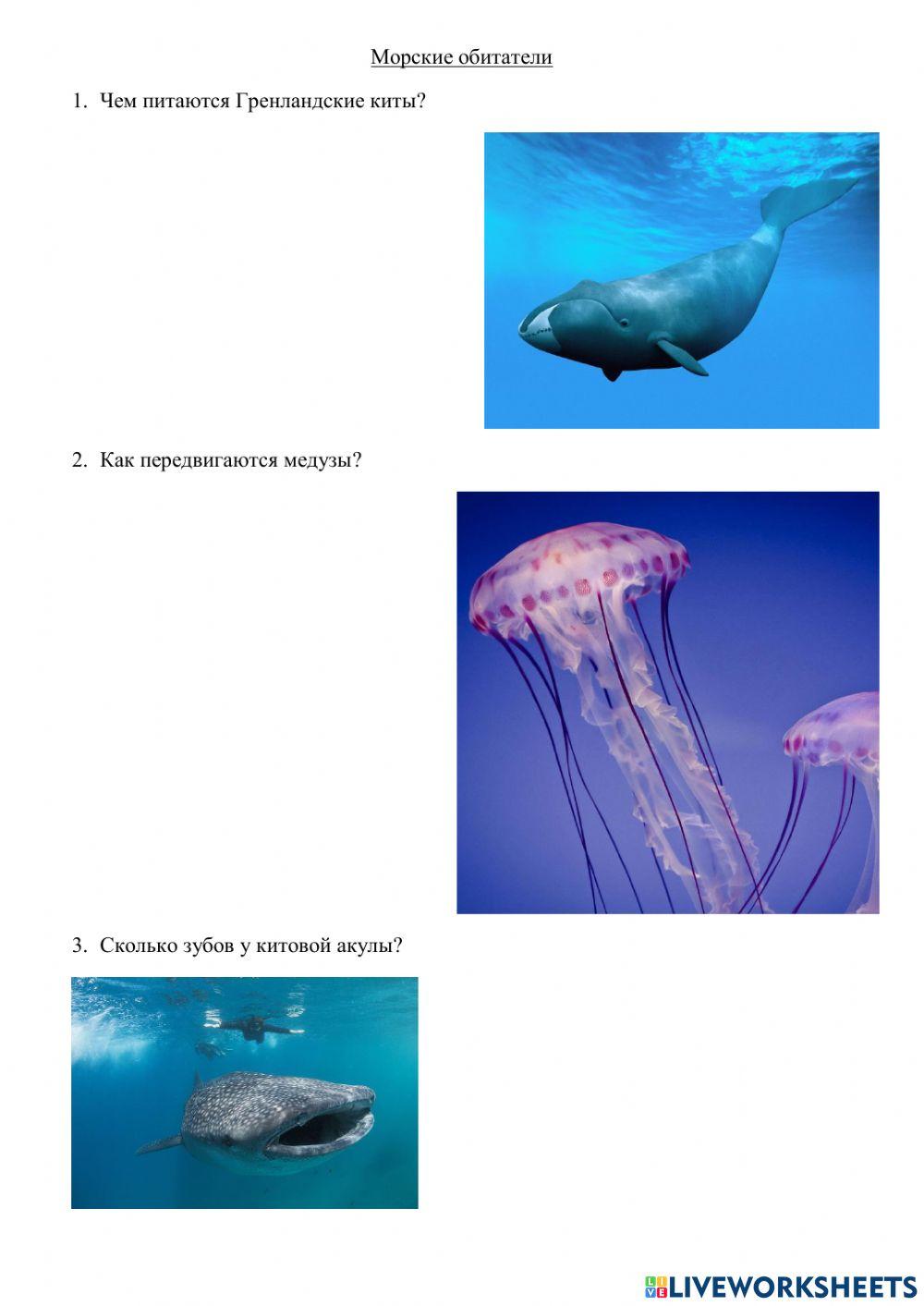 Работа с глобусом